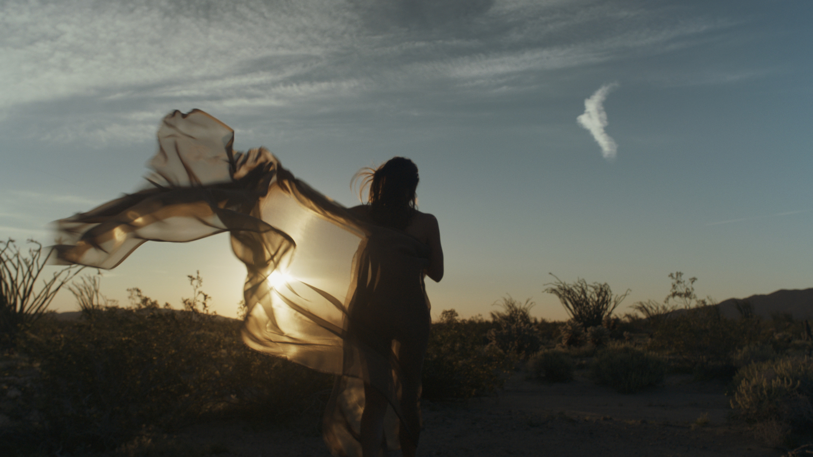 A woman at sunrise, veil lifted in the wind